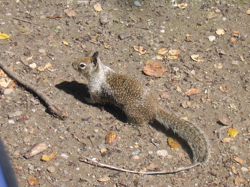 IMG_1201.JPG