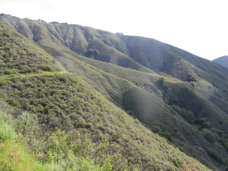 IMG_1260.JPG