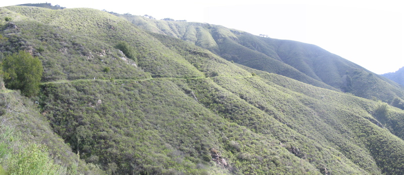Mt. Manuel 1
