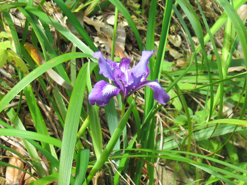 IMG_1282.JPG