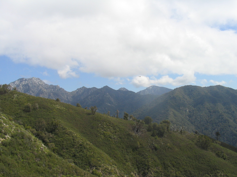 STB_1286.JPG