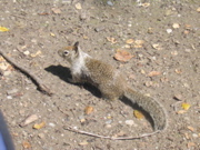 IMG_1201.JPG