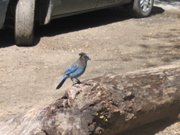 IMG_1202.JPG